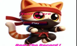 Cat Jumper 1 image