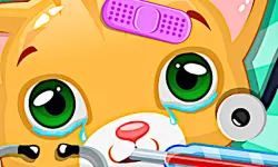 Doctor Pets image