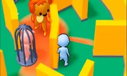 Hide Find Seek 2023 image