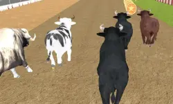 Bull Racing image