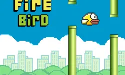 Fire Bird image
