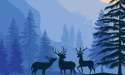 Landscape Paradise Hidden image