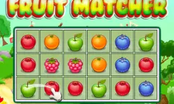 Fruit Matcher image