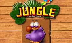 Jungle Matching image