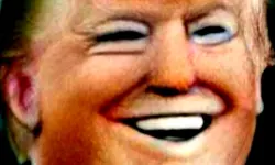 Fun e Face image