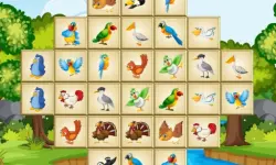 Birds Mahjong Deluxe image