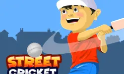 Street Cricket image