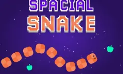 Spacial Snake image