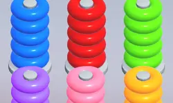 Color Ring Sort image