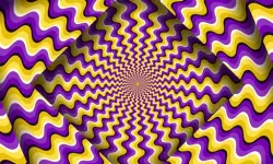 Optical Illusion image