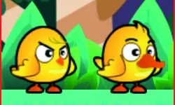 Chicken And Duck Brothers image