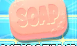 Dont Drop The Soap image