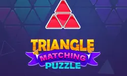 Triangle Matching Puzzle image