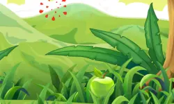 Fruit Cutter image