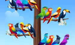 Bird Sort Puzzles image