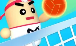 3D Amazing VolleyBall image