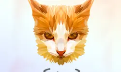 Poly Art image