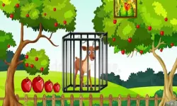 G2M Deer Escape image