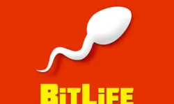 BitLife - Life Simulator image