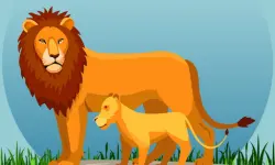 Wild Animals and Their Babies image