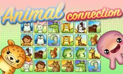 Animal Connection image