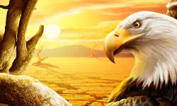 Eagle Slide image