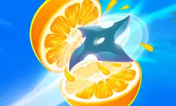 Fruit Slice Juice image