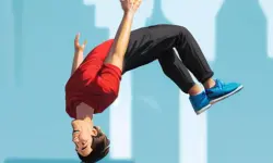 Flip Master image