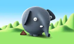 ollli ball image