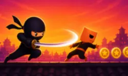 Ninja on the Run image