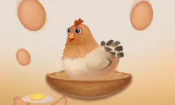 Egg Catcher image