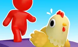 Pet island image