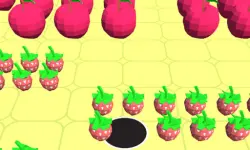 Hole Master image