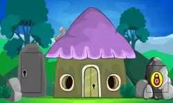 Village Escape image