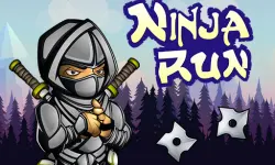 Run Ninja image