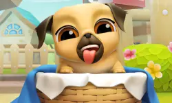 My Cute Puppy Grooming 3D image