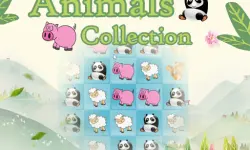 Animals Collection image