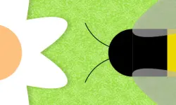 Beenvaders image