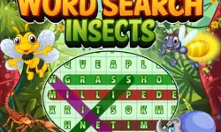 Word Search Insects image