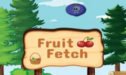 Fruit Fetch image