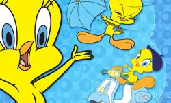 Tweety Bird image
