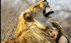 Lion And Girl Jigsaw image