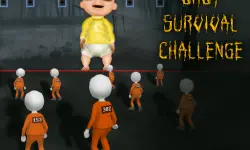 Baby Survival Challenge image