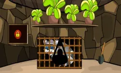 Rescue The Raccoon image