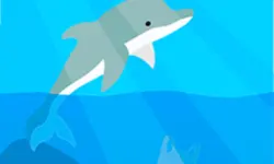 Dolphin Life image