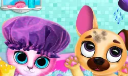Cute Pet Friends image