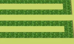 Cut The Grass image