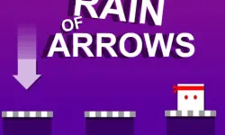 Rain Of Arrows image