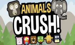 Animal Crush Match image