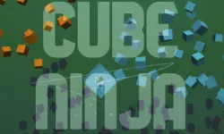 Cube Ninja image